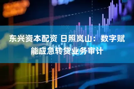 东兴资本配资 日照岚山：数字赋能应急转贷业务审计