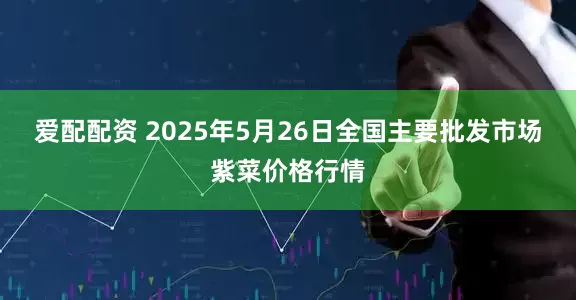 爱配配资 2025年5月26日全国主要批发市场紫菜价格行情
