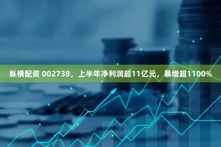 纵横配资 002738，上半年净利润超11亿元，暴增超1100%